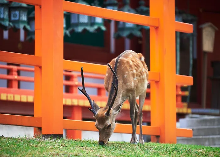 Jw Marriott Nara